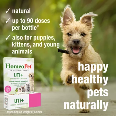 HomeoPet® Dog UTI+ Liquid Urinary Supplement, Support Upper & Lower Urinary Tract, 15-ml bottle - Image 4