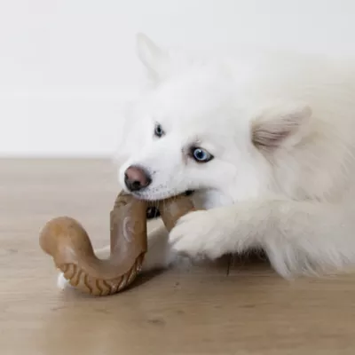 Product Benebone Tripe Bone Tough Dog Chew Toy