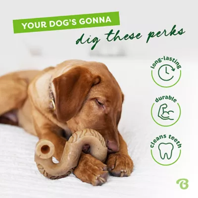 Benebone® Tripe Bone Tough Dog Chew Toy - Image 5