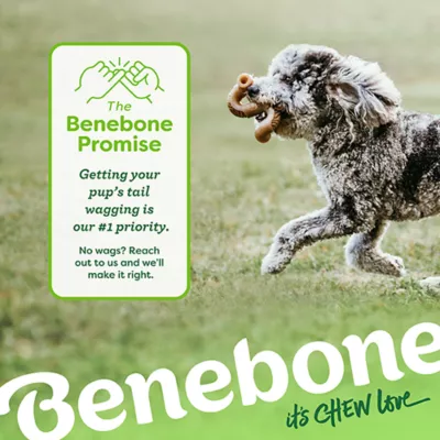 Product Benebone Tripe Bone Tough Dog Chew Toy