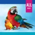 All Living Things® Millet Holder image thumbnail 2