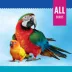 All Living Things® Spray Millet Clip image thumbnail 2