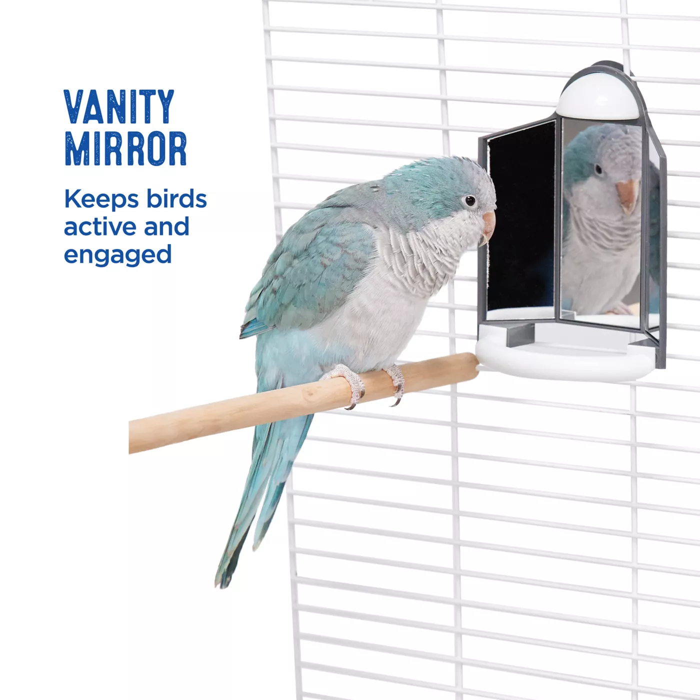 Product All Living Things® Vanity Mirror