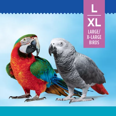 Product All Living Things® Pet Bird Hanging Coconut Toy