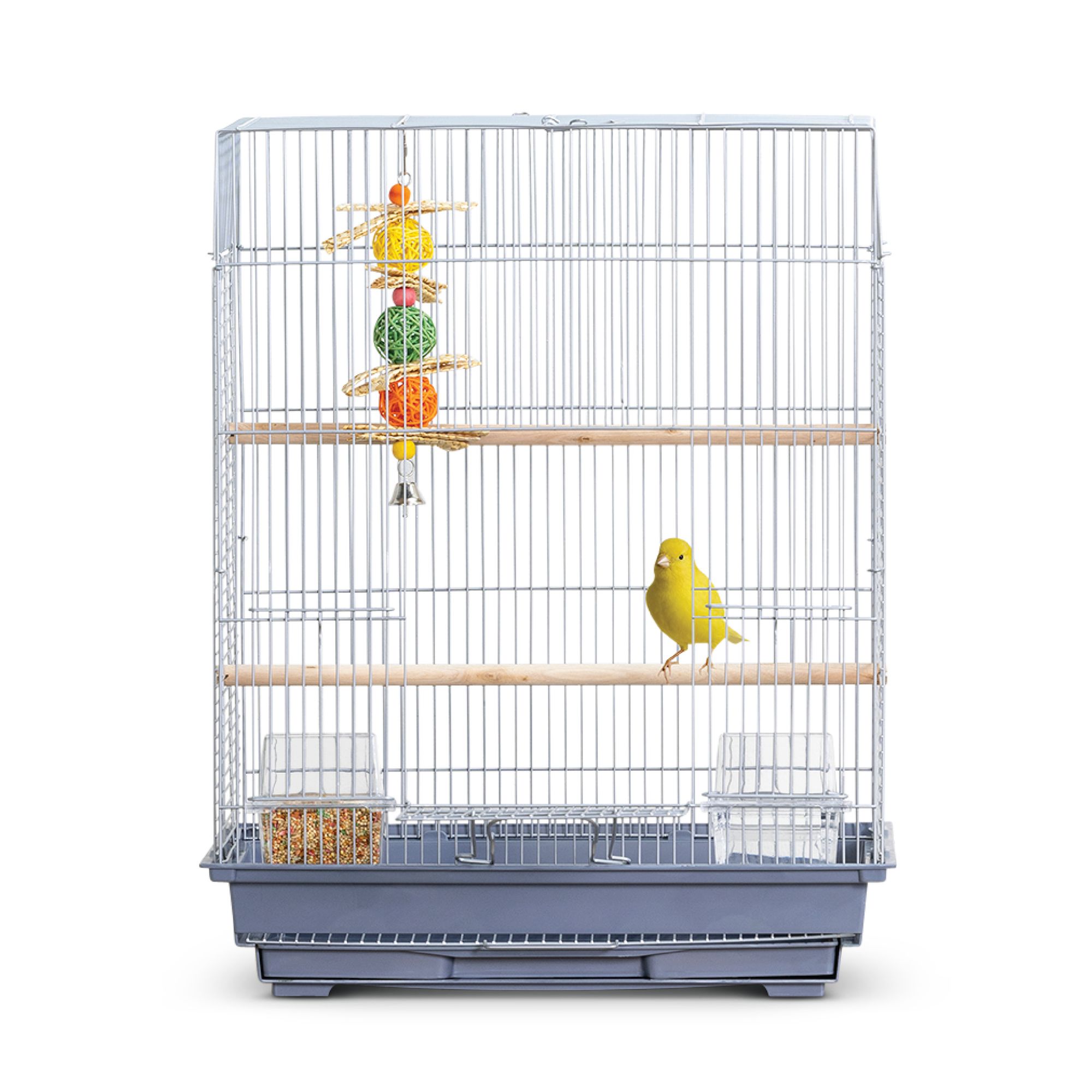 Petsmart bird supplies hotsell