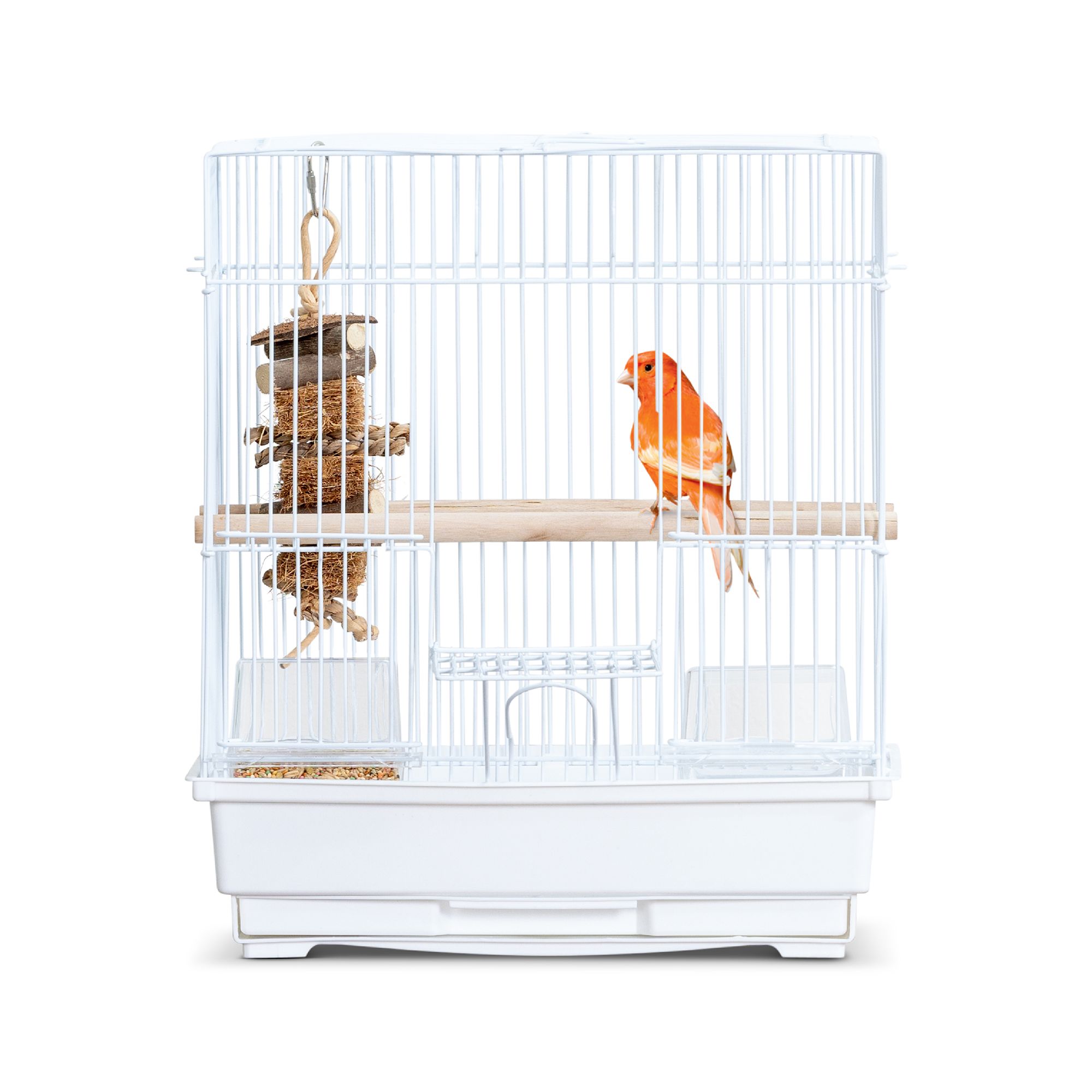 Petsmart bird supplies hotsell