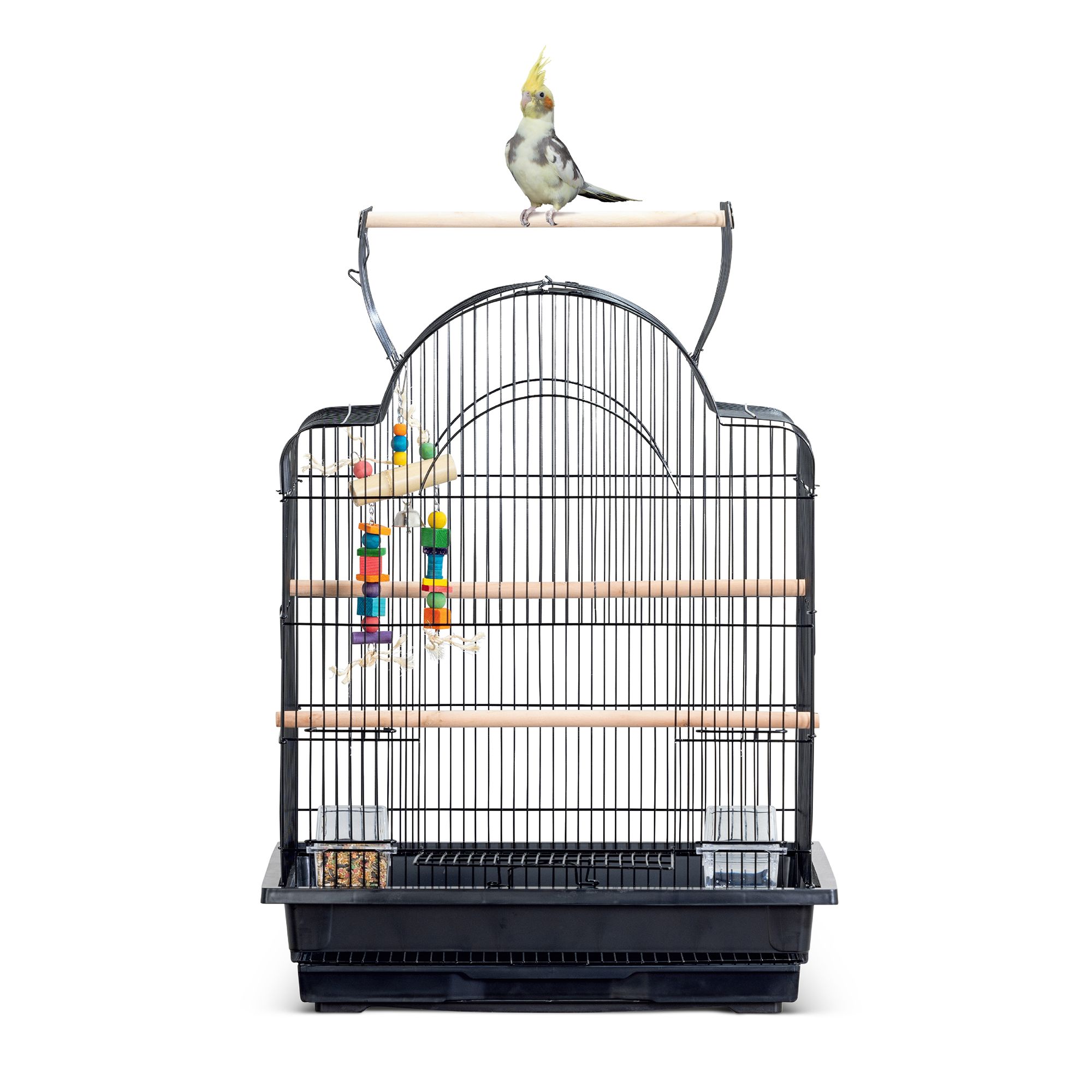 Petsmart large bird cages best sale