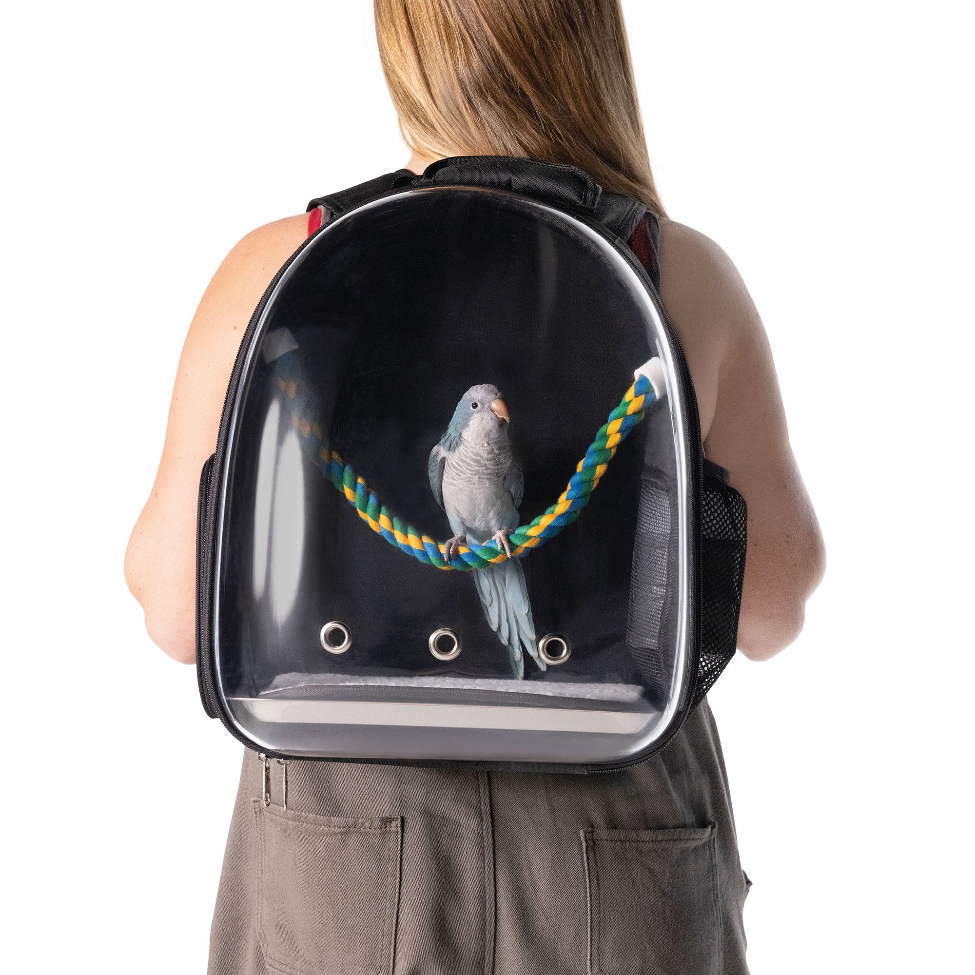 parrot travel bird carrier