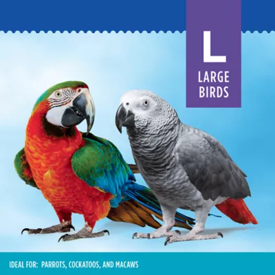 Product All Living Things® Bird Bungee
