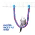 All Living Things® Rope Perch image thumbnail 5