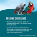 All Living Things® Parrot Food image thumbnail 5