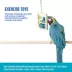 All Living Things® Abacus Bird Toy image thumbnail 4