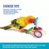 All Living Things® Ring Toss Bird Toy image thumbnail 4