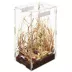 Zilla® Arboreal Micro Habitat image thumbnail 2