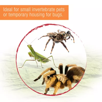 Zilla® Terrestrial Micro Habitats - Image 7