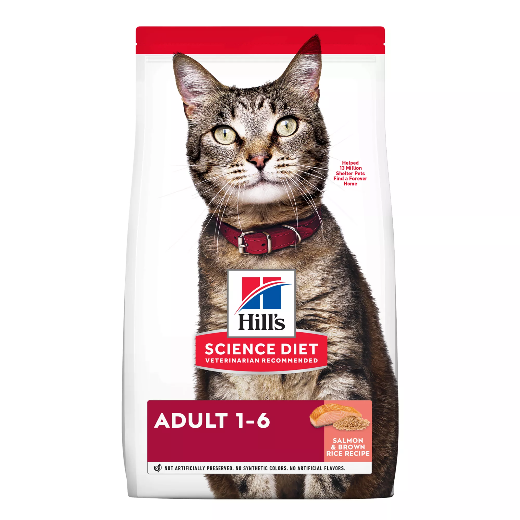 Hill's Science Diet Adult Cat Food - Salmon & Brown Rice