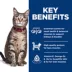 Hill's Science Diet Adult Dry Cat Food - Salmon & Brown Rice image thumbnail 6
