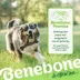 Benebone® Wishbone Dental Chew 2 Pack image thumbnail 7