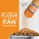 Product Instinct® RawBoost Shakers Digestive Health Cat Food Topper - Freeze Dried, 5.5 OZ