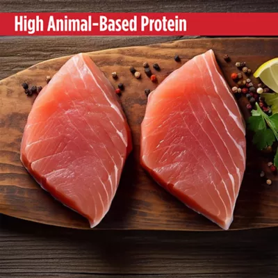 Nulo Senior Wet Cat Food - High-Protein, Silky Mousse, 2.8 Oz. - Image 7