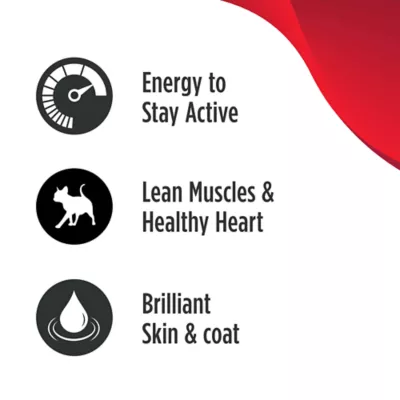 Nulo Raw Medley Adult Cat Food - Kibble + Freeze Dried Raw, Turkey, Chicken & Trout - Image 3