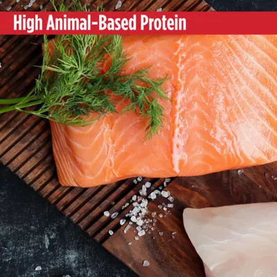 Nulo Baked and Coated Adult Cat Food - Grain Free, Salmon & Chicken - Image 4