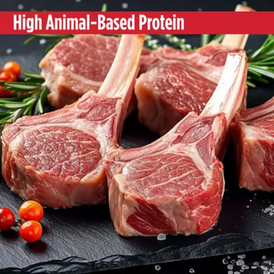 Nulo Real Shreds All Life Stages Wet Cat Food - Grain Free, In Broth, 6 Oz - Image 4