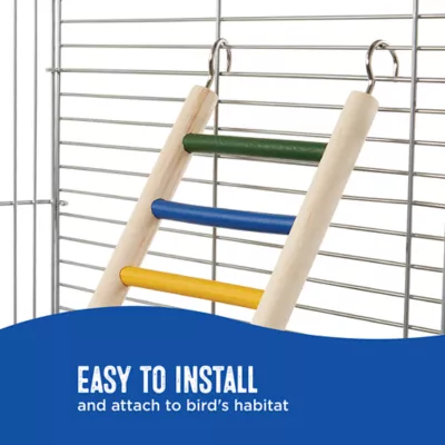Product All Living Things® Natural Ladder