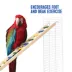 All Living Things® Natural Ladder image thumbnail 5