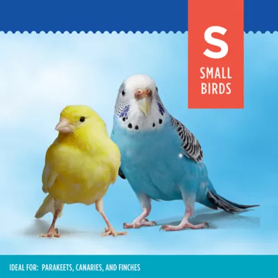 Petsmart finches best sale