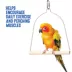 All Living Things® Wood Swing image thumbnail 4