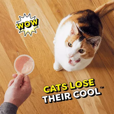 Product Temptations™ Lickable Spoons Cat Treats - 1.4 oz