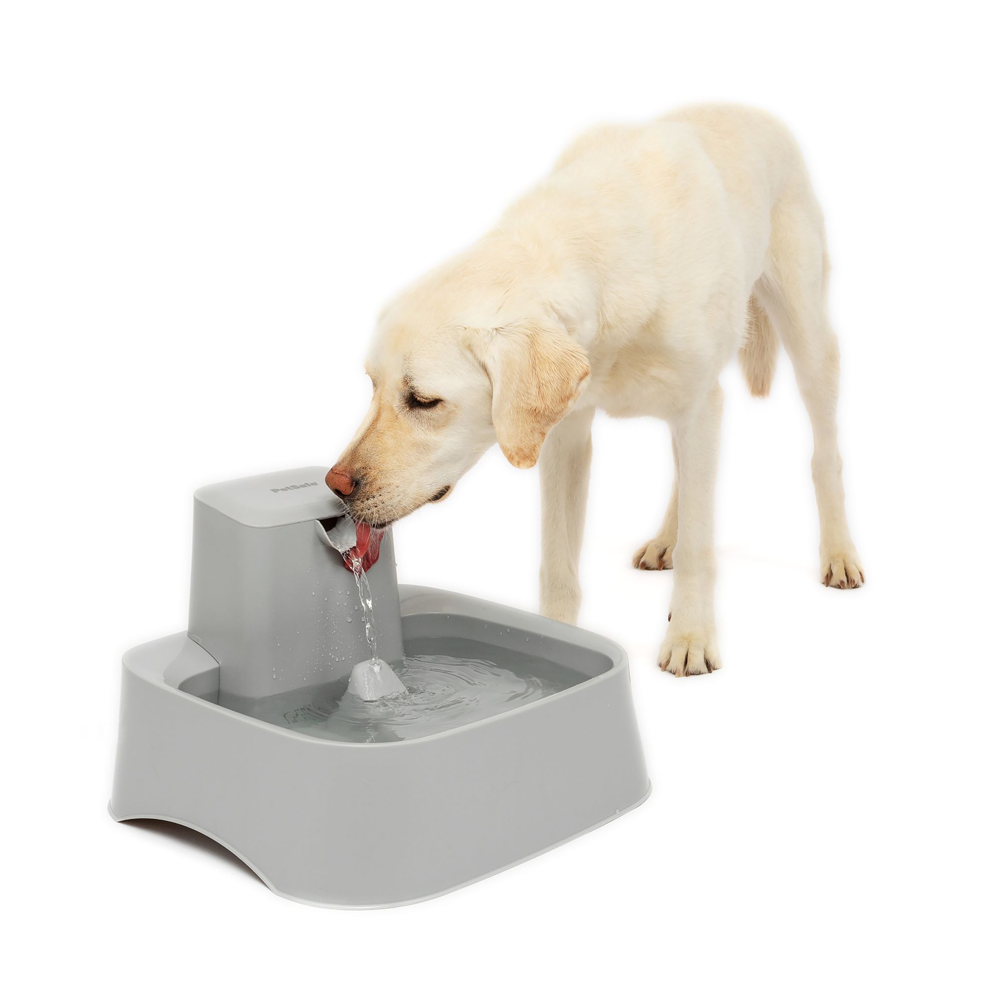 Petsmart dog water fountain sale