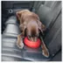 Kurgo® Splash Free Wander Dog Water Bowl image thumbnail 5