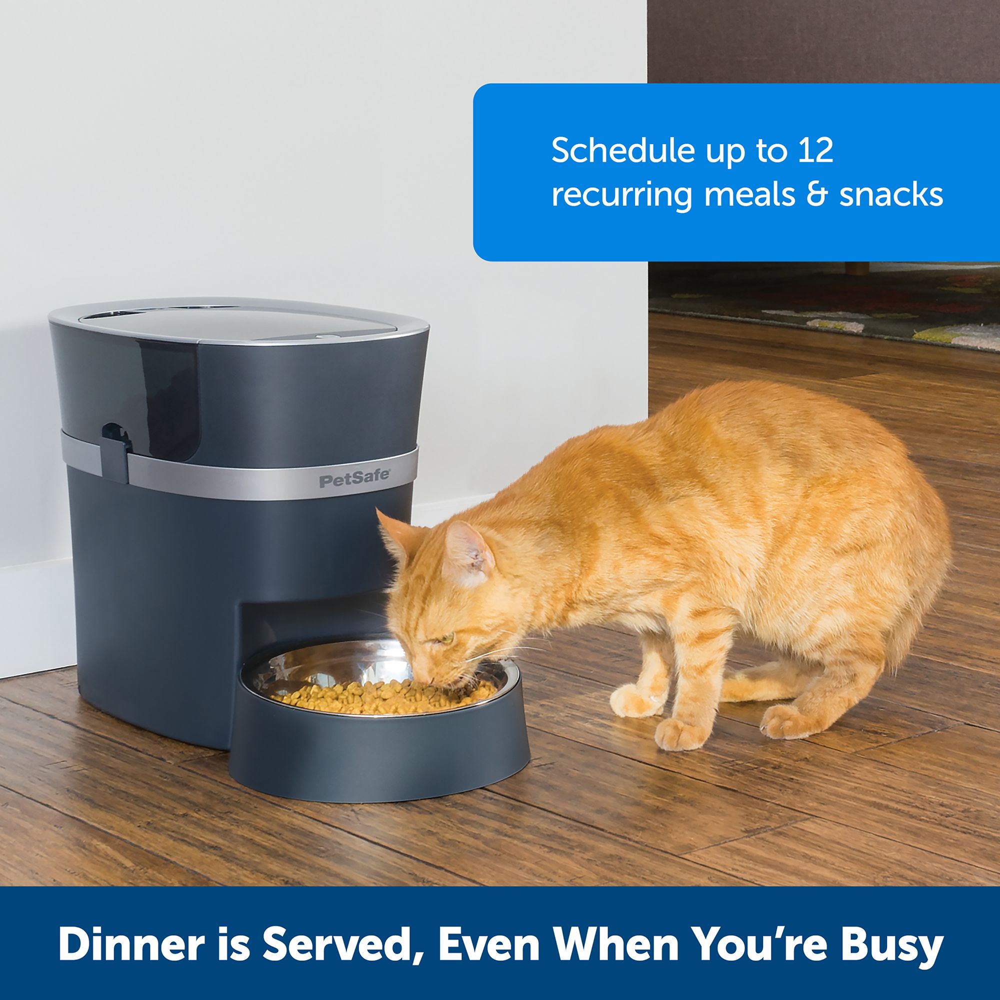 Automatic pet 2024 feeder petsmart