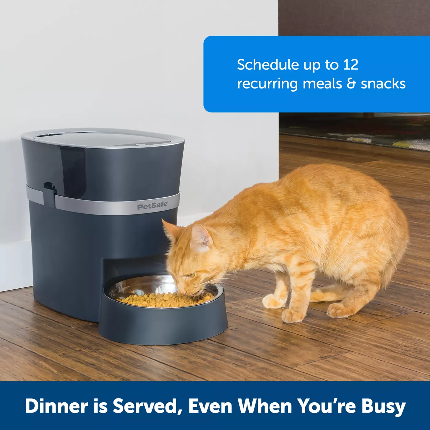 PetSafe Smart Feed 2nd Generation Automatic Pet Feeder