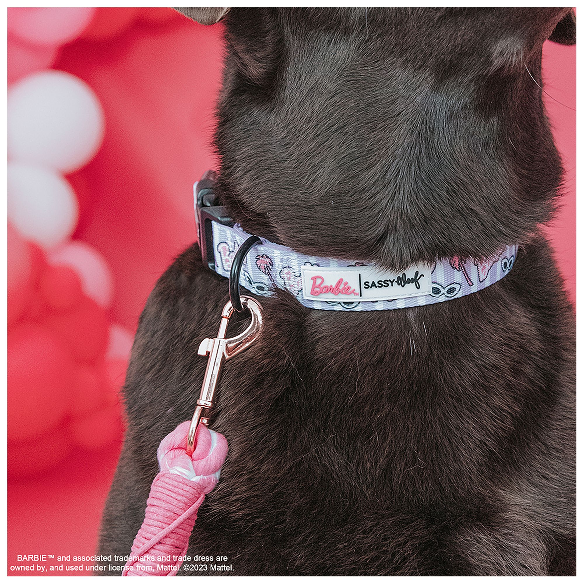 Barbie dog collar clearance