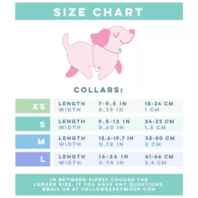 Product Sassy Woof Barbie Closet Goals Dog Collar