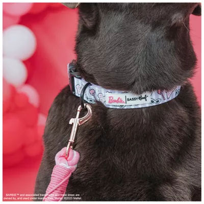 Sassy Woof Barbie Closet Goals Dog Collar - Image 3