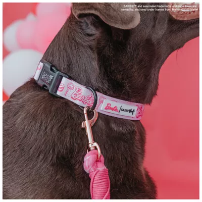 Product Sassy Woof Barbie Malibu Dog Collar