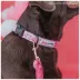 Sassy Woof Barbie Malibu Dog Collar image thumbnail 3