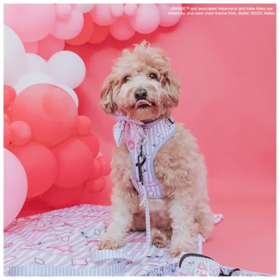 Product Sassy Woof Barbie Closet Goals Dog Harness, Leash and Waste Bag Holder Bundle