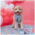 Sassy Woof Barbie On a Roll Dog Harness, Leash and Waste Bag Holder Bundle image thumbnail 5