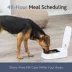 TRIXIE TX1 Automatic Pet Feeder image thumbnail 2