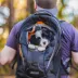 Kurgo® G-Train Backpack, Dog and Cat Carrier, Black image thumbnail 6