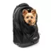 Kurgo® G-Train Backpack, Dog and Cat Carrier, Black image thumbnail 1