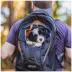 Kurgo® G-Train Backpack, Dog and Cat Carrier, Black image thumbnail 6