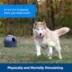  PetSafe® Automatic Ball Launcher image thumbnail 2