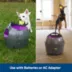  PetSafe® Automatic Ball Launcher image thumbnail 4