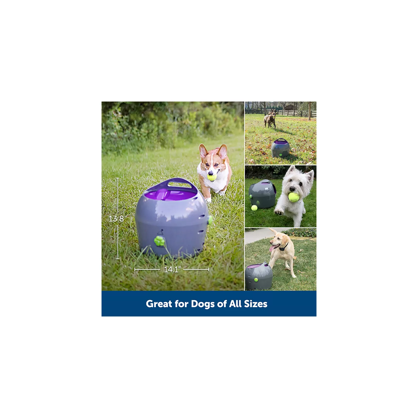 PetSafe Automatic Ball Launcher